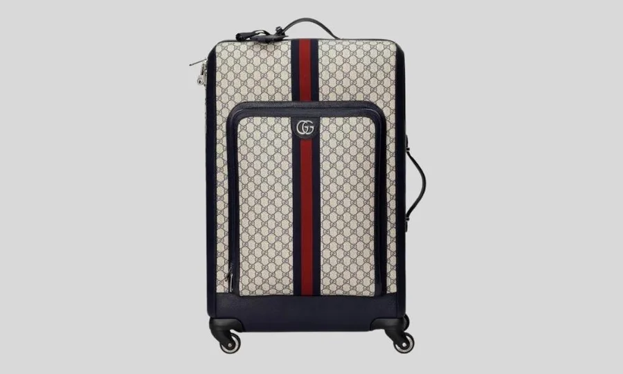 LOUIS VUITTON SUITCASE 5 YEAR REVIEW: HORIZON 55 ROLLING LUGGAGE 