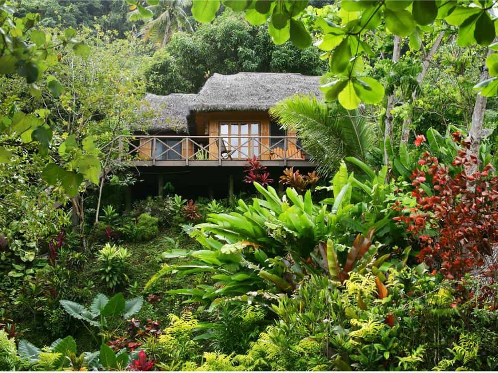 Treehouse Bure Matangi Private Island Resort
