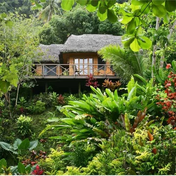 Treehouse Bure Matangi Private Island Resort