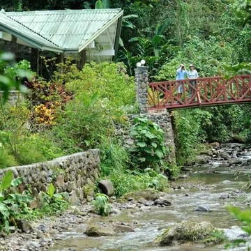 Canopy Lodge