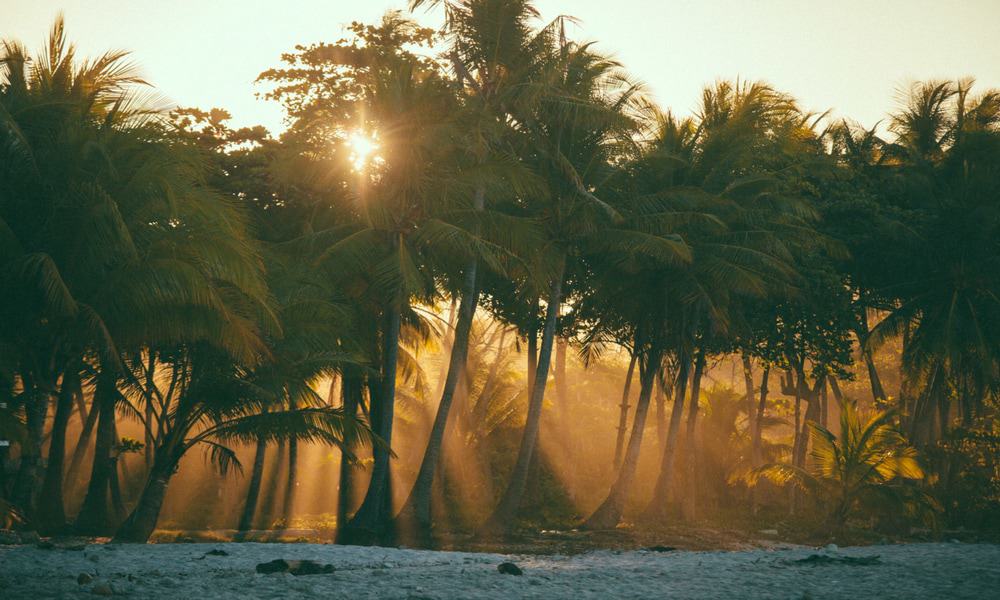 Habitas Santa Teresa