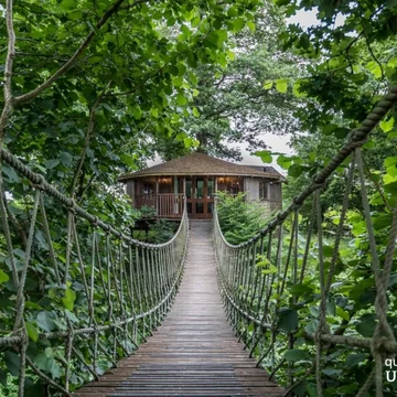 Bensfield Treehouse