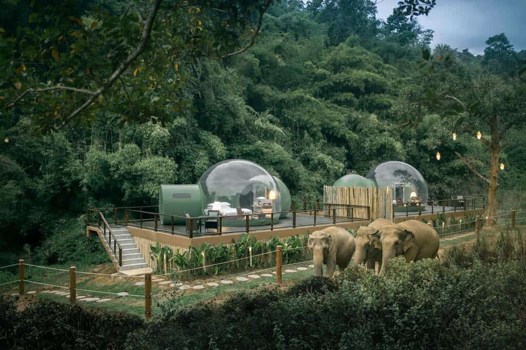 Anantara Golden Triangle Elephant Camp and Resort