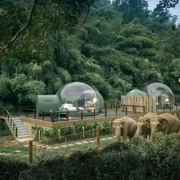 Anantara Golden Triangle Elephant Camp and Resort