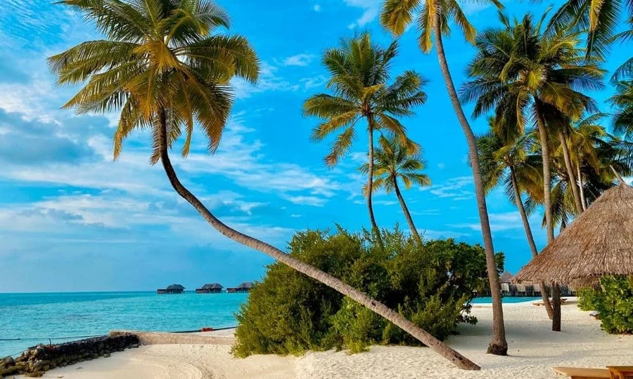 Beach in the Maldives